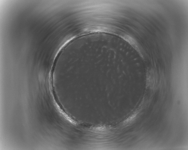 X0000066500798200603201322
