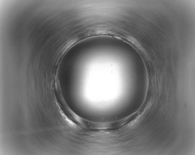 X0000066500801200603201322