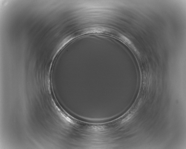 X0000066500802200603201321