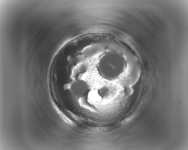 X0000066500803200603201321