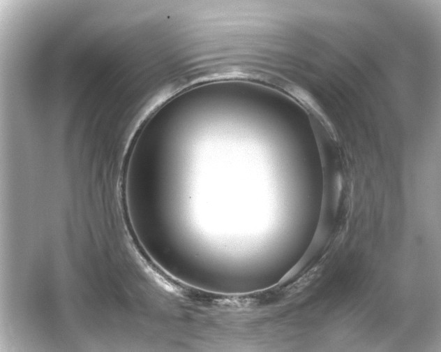 X0000066500805200603201321