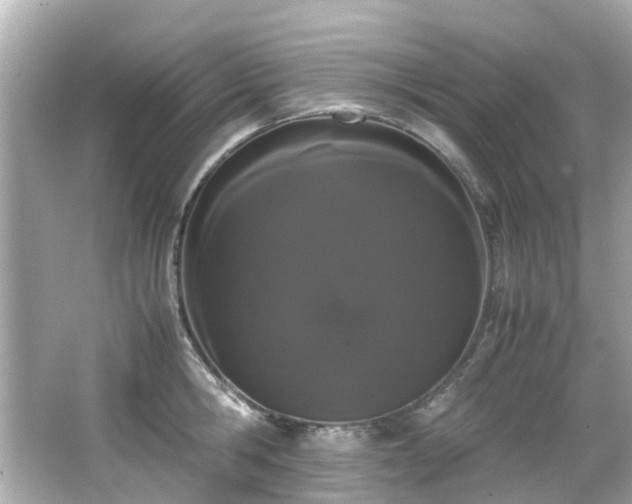 X0000066500806200603201321