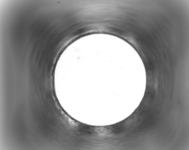 X0000066500807200603201321