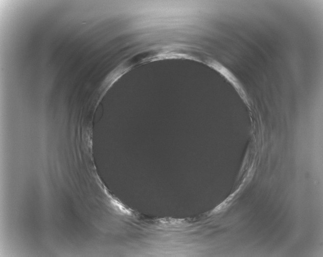 X0000066500809200603201321