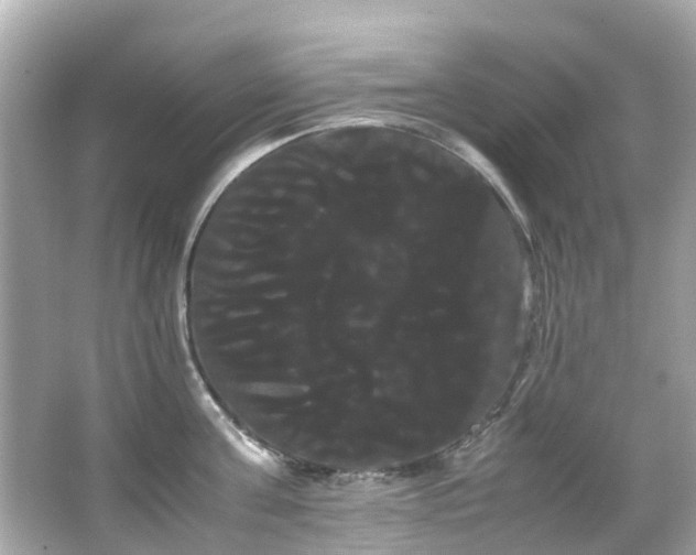 X0000066500811200603201321