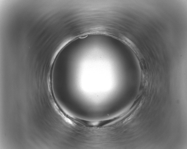 X0000066500812200603201321
