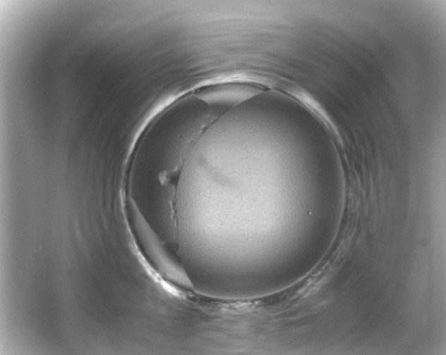 X0000066500813200603201321