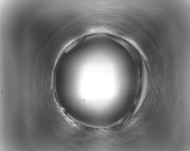 X0000066500815200603201321