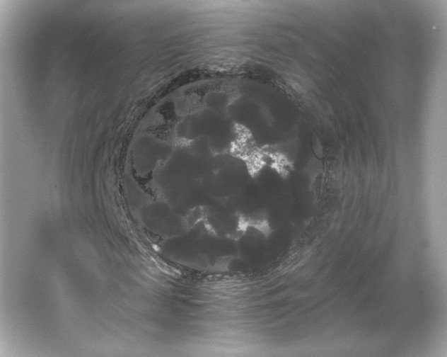 X0000066500817200603201320