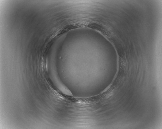 X0000066500818200603201320