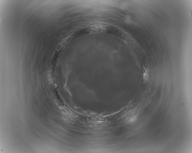 X0000066500819200603201320