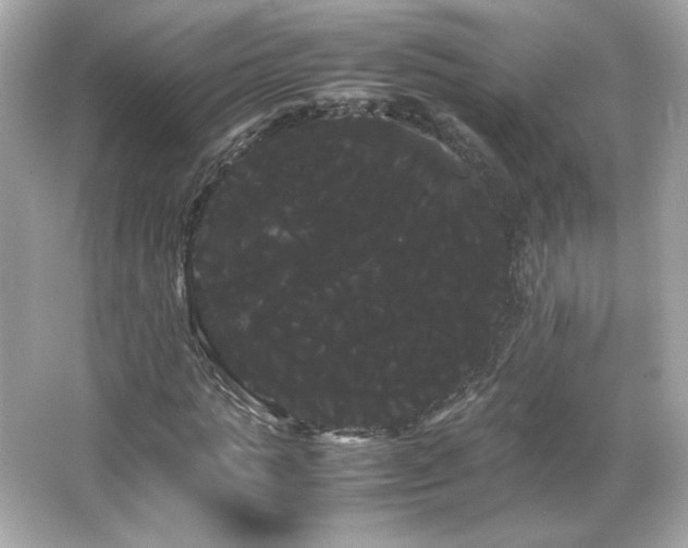 X0000066500821200603201321