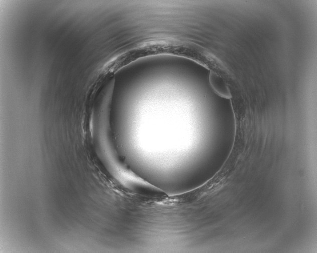 X0000066500822200603201321
