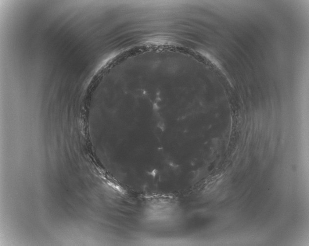 X0000066500823200603201321