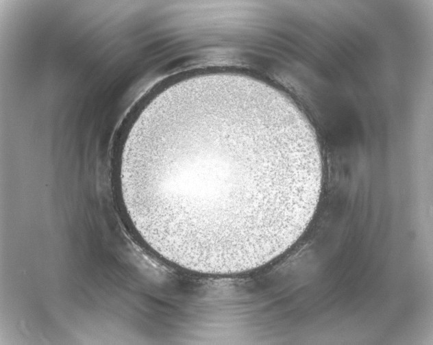 X0000066500828200603201321
