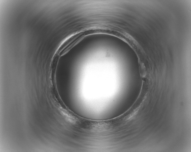 X0000066500830200603201321
