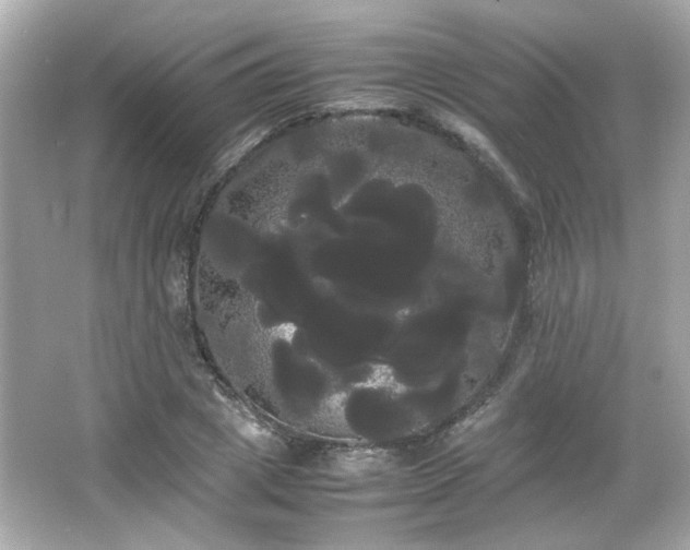 X0000066500833200603201321