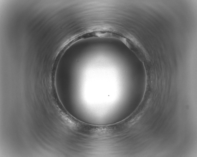 X0000066500834200603201321