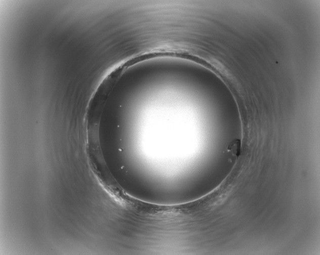X0000066500838200603201321
