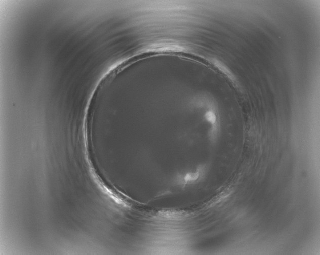 X0000066500840200603201321