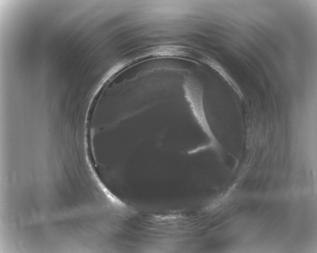 X0000066500853200603201321
