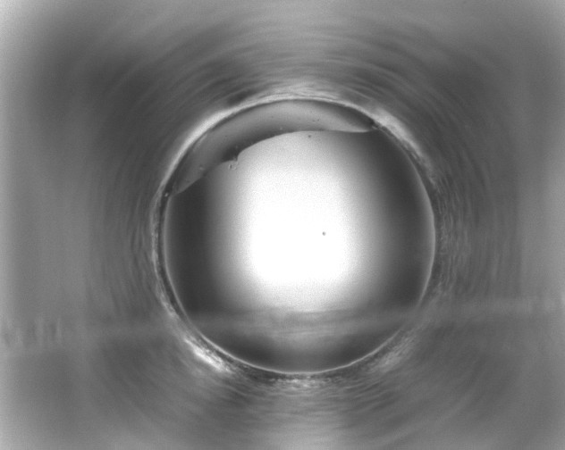 X0000066500854200603201321