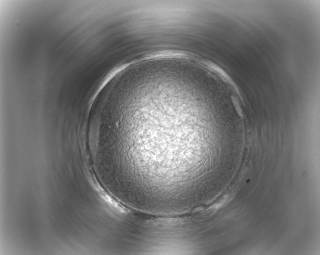 X0000066500860200603201321