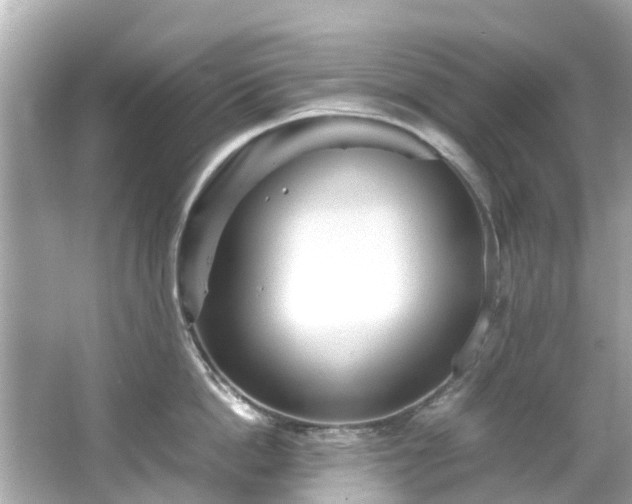 X0000066500862200603201321