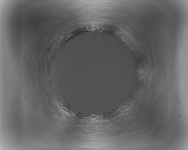 X0000066500865200603201320