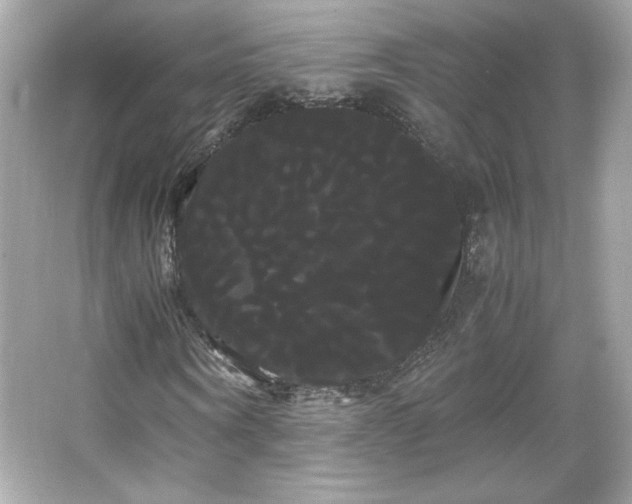 X0000066500866200603201320