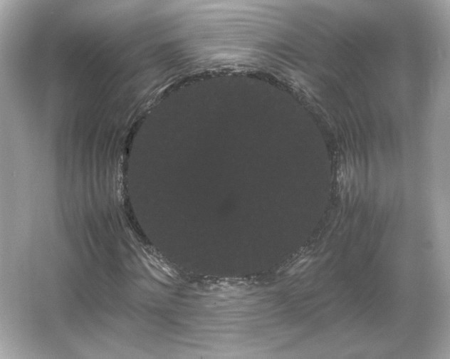 X0000066500868200603201320