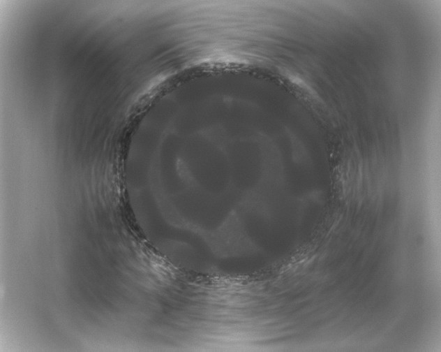 X0000066500870200603201320