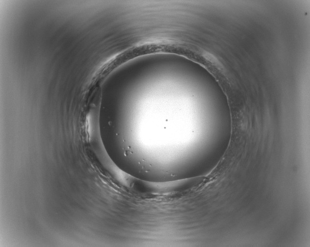 X0000066500872200603201320