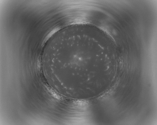 X0000066500874200603201320