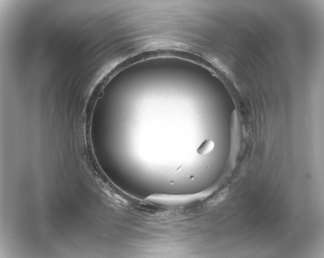 X0000066500877200603201320