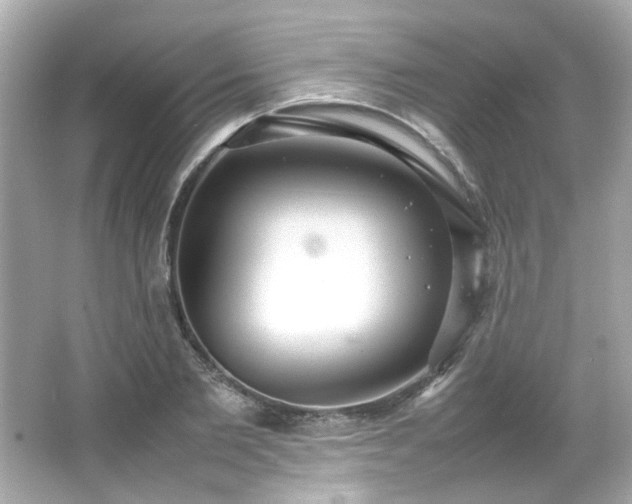 X0000066500885200603201320