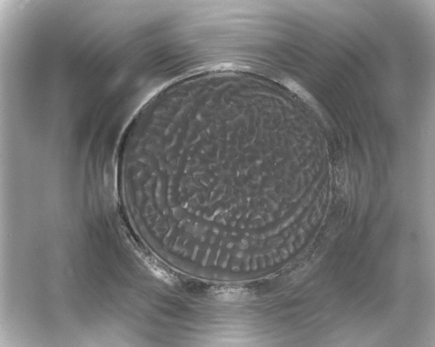 X0000066500886200603201320
