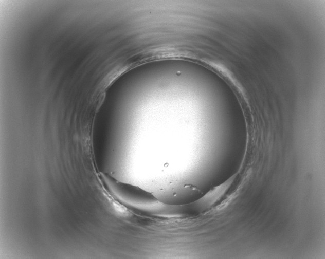 X0000066500897200603201320