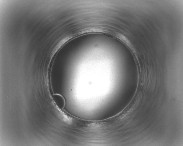 X0000066500898200603201320