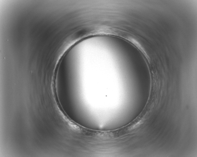 X0000066500901200603201320