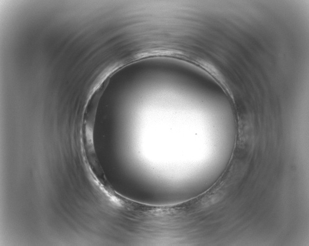 X0000066500906200603201320