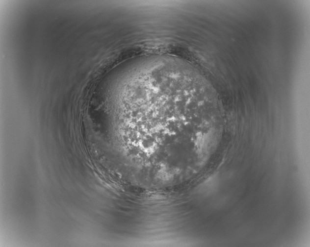 X0000066500913200603201319
