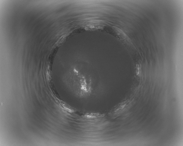 X0000066500915200603201319