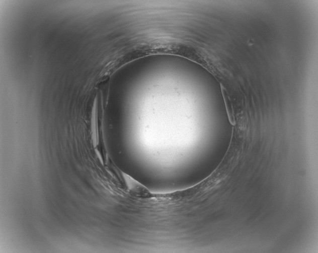 X0000066500916200603201319