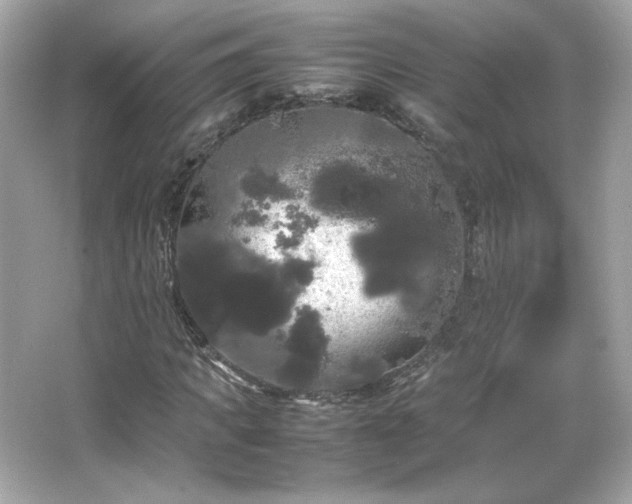 X0000066500917200603201319