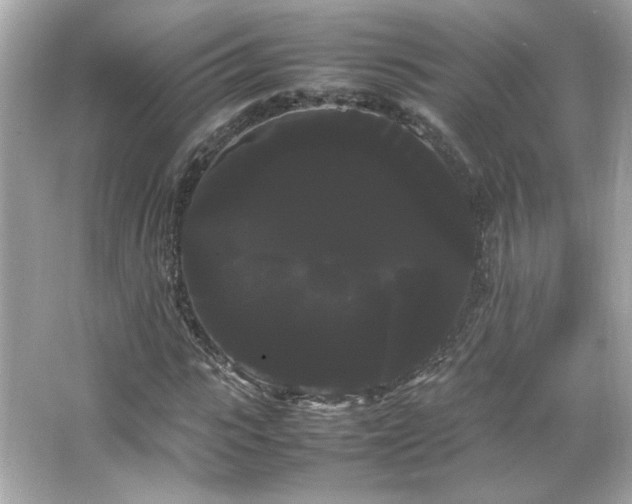 X0000066500919200603201319