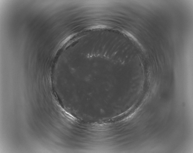 X0000066500921200603201319