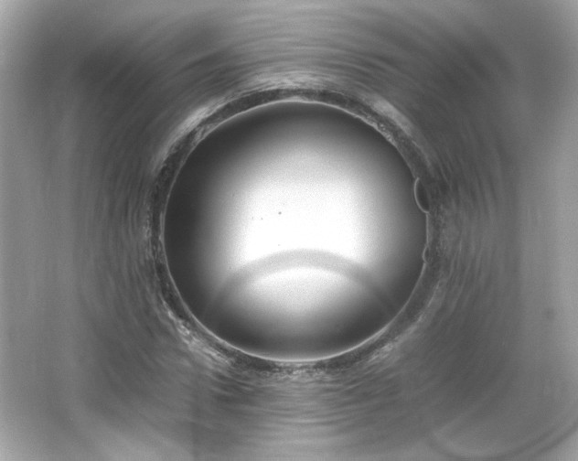X0000066500922200603201319