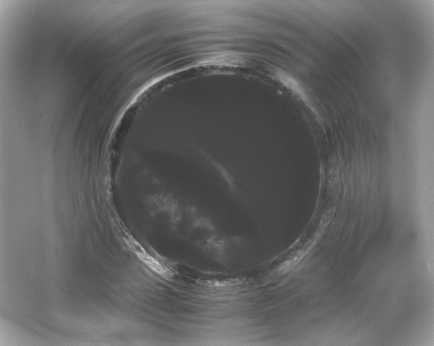 X0000066500923200603201319