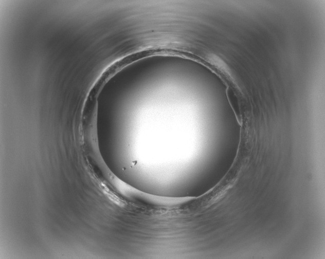 X0000066500924200603201319
